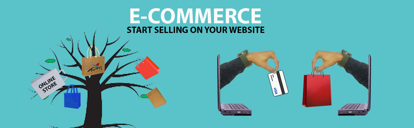 Ecommerce website design Company in India