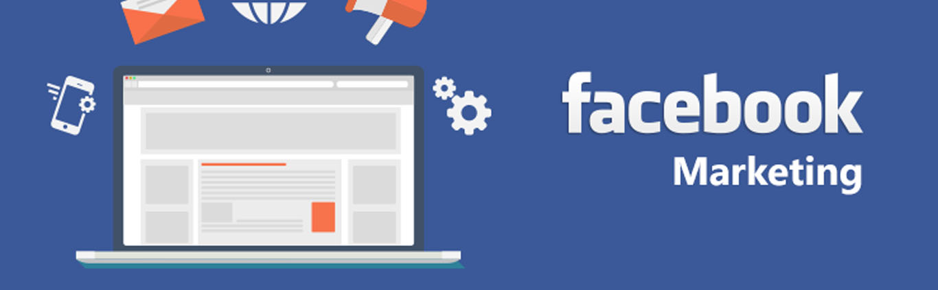 Facebook Marketing Agency in Delhi/NCR